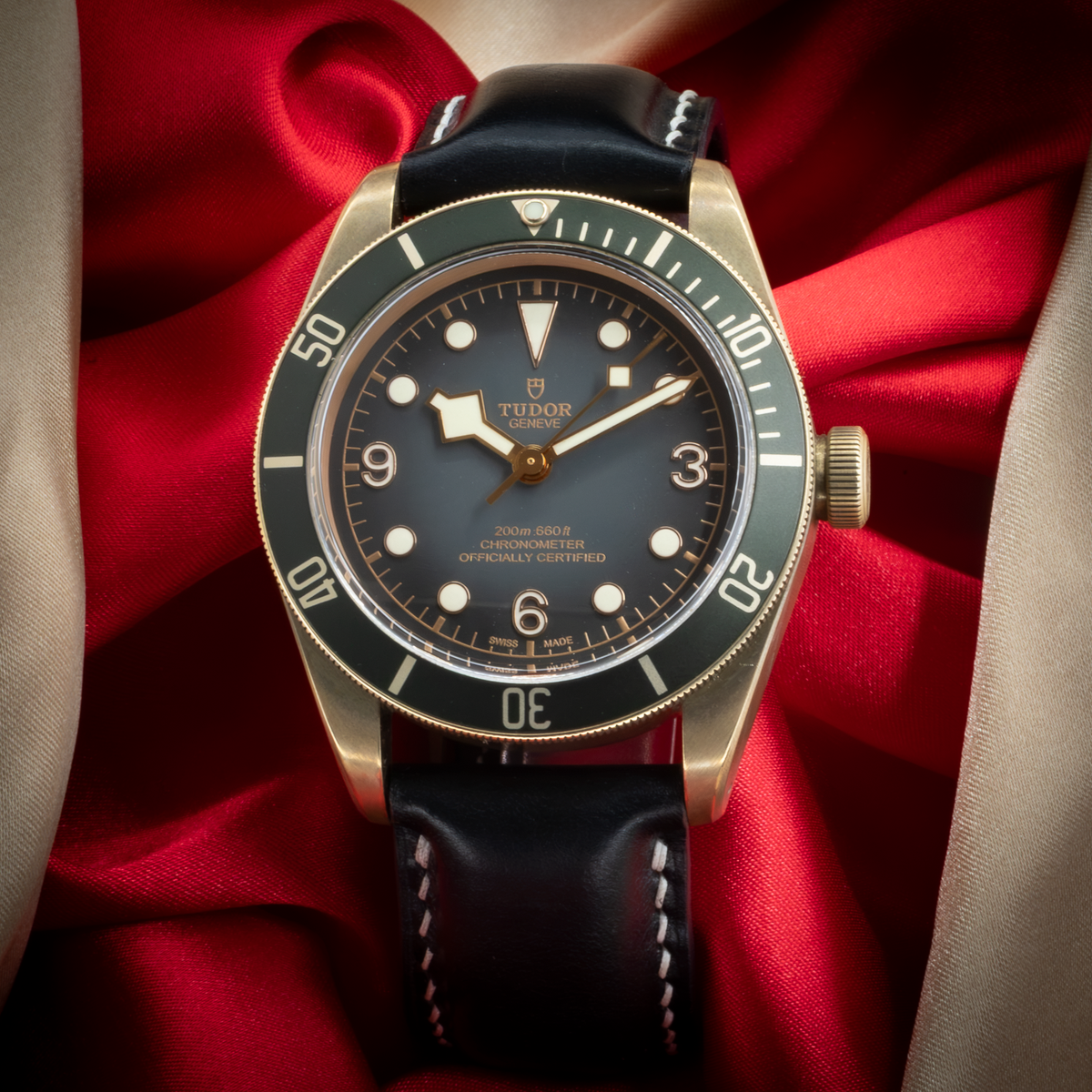 Tudor Black Bay M79250BA-0001, full face dial with black leather strap.